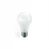 Ampolleta Led 9w E-27 Luz Fria Vkb